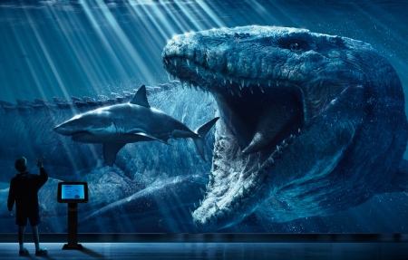 奔跑吧第十一季